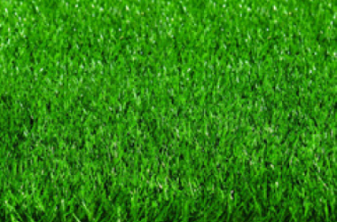 چمن مصنوعی